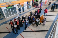 ������ ���������� ����������� ����������� ����